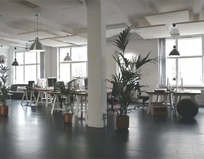 Cleaning Services in Blue Mountains
