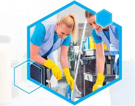 professional Cleaners Sydney